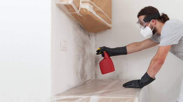 Professional Mold Remediation technician working in Harrison, NJ