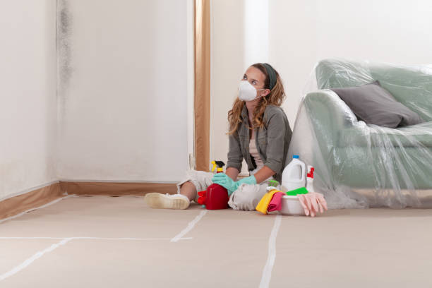 Reliable Mold Remediation contractor in Harrison, NJ by Cheap Mold Removal